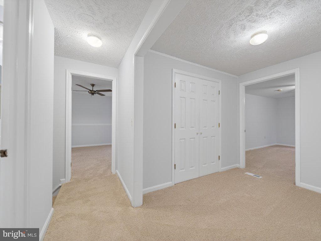 9136 Karlo Street photo 34