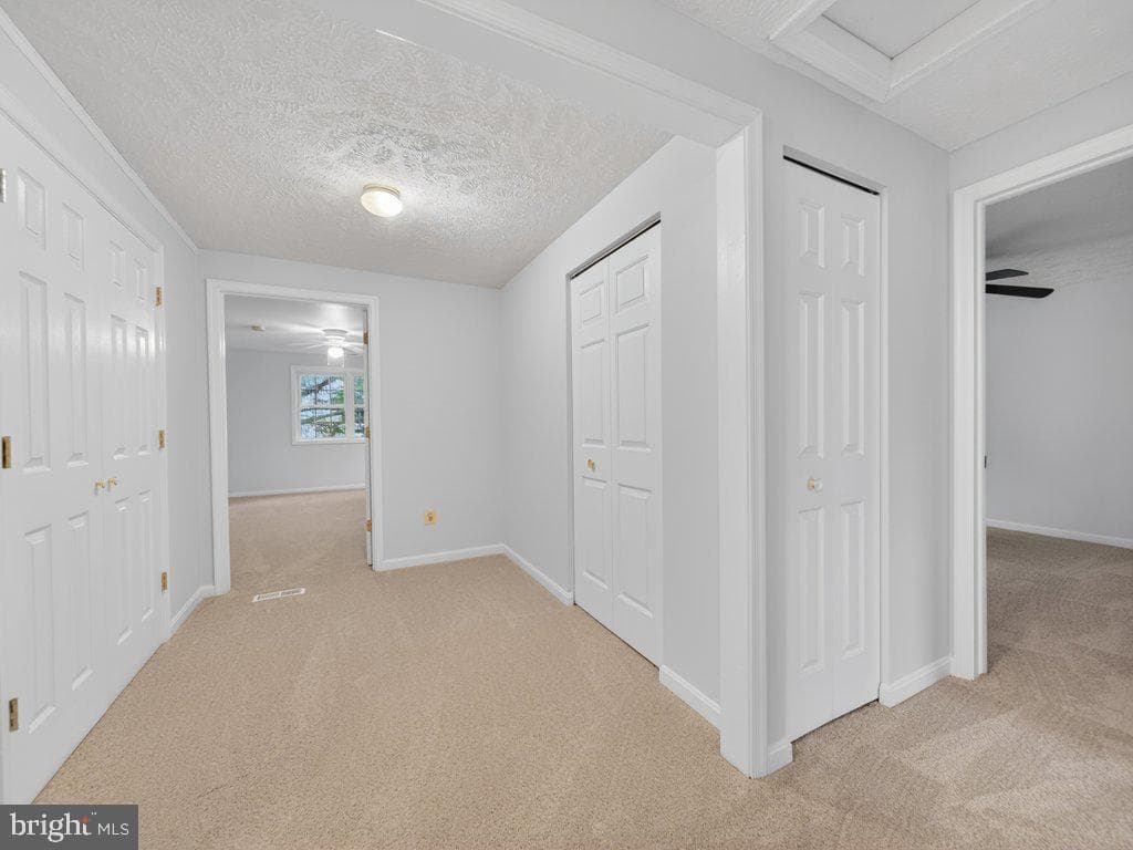 9136 Karlo Street photo 38