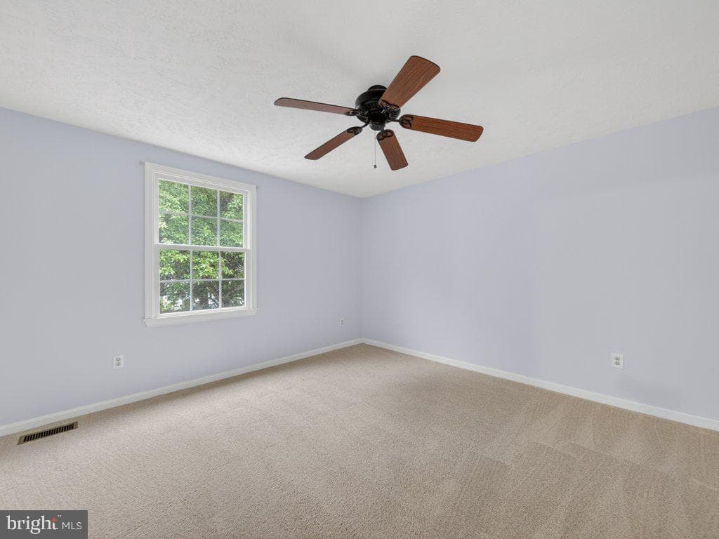 9136 Karlo Street photo 41