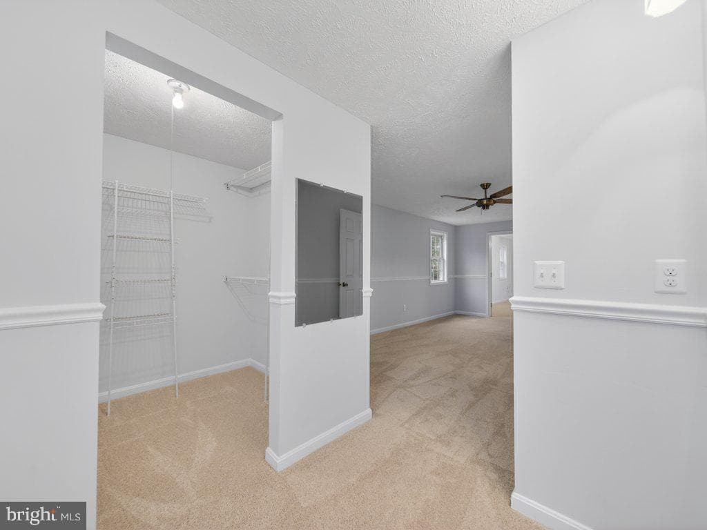 9136 Karlo Street photo 56