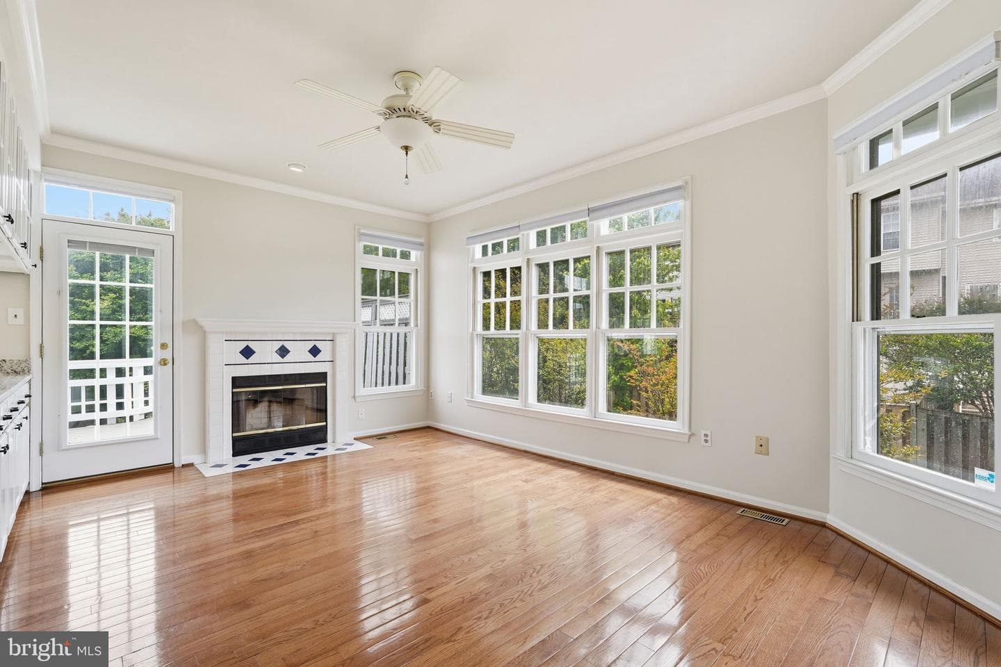 9279 Caladium Drive photo 21