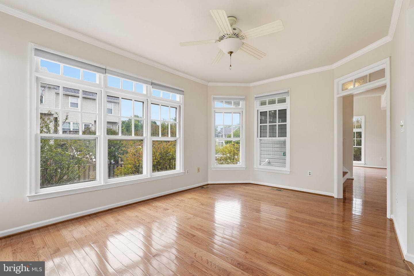9279 Caladium Drive photo 22