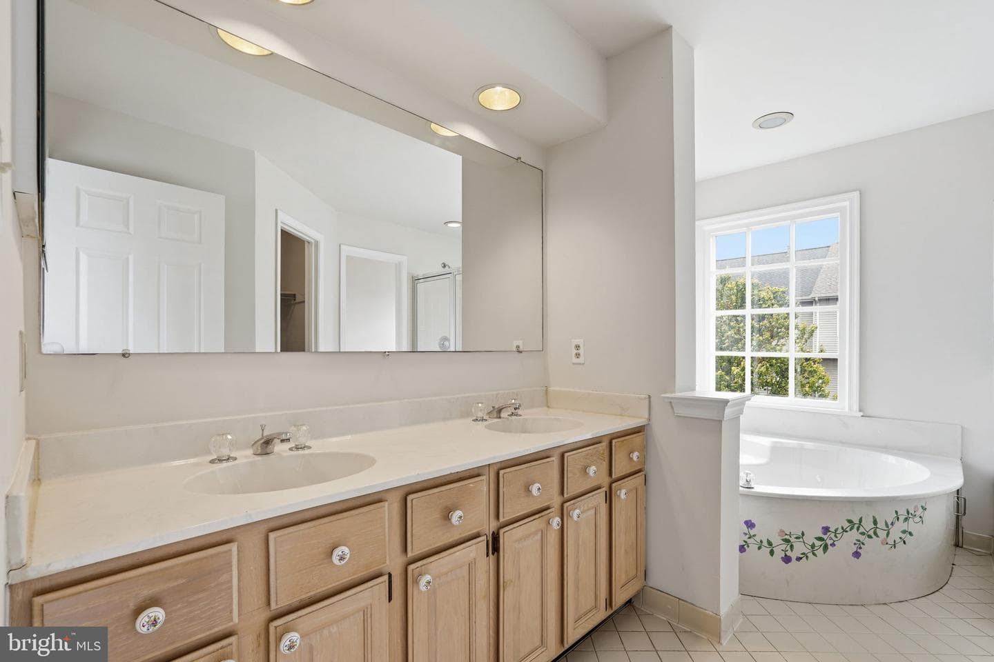 9279 Caladium Drive photo 8