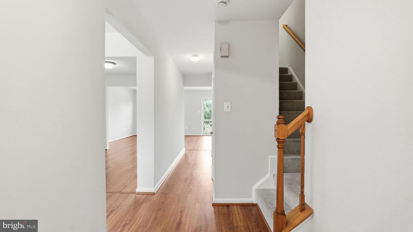 8912 Princeton Park Drive photo 3