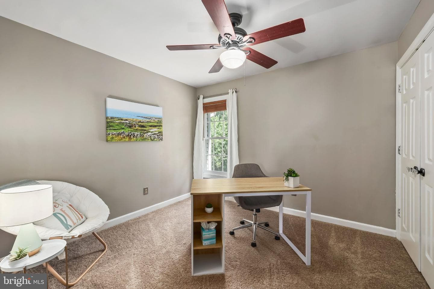 10181 Strawflower Lane photo 31
