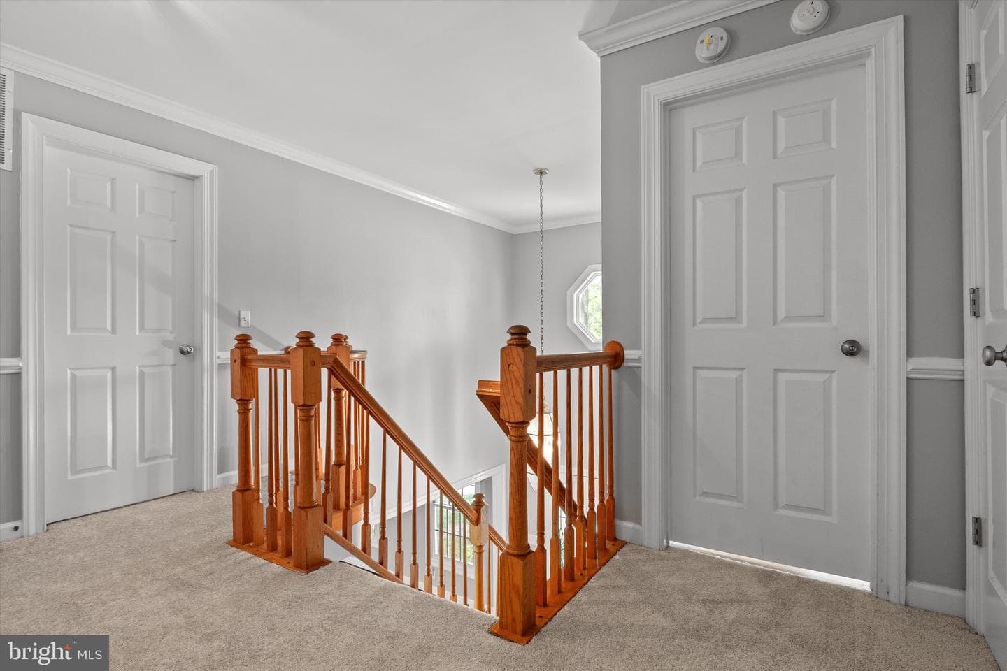 10165 Corydalis Court photo 18
