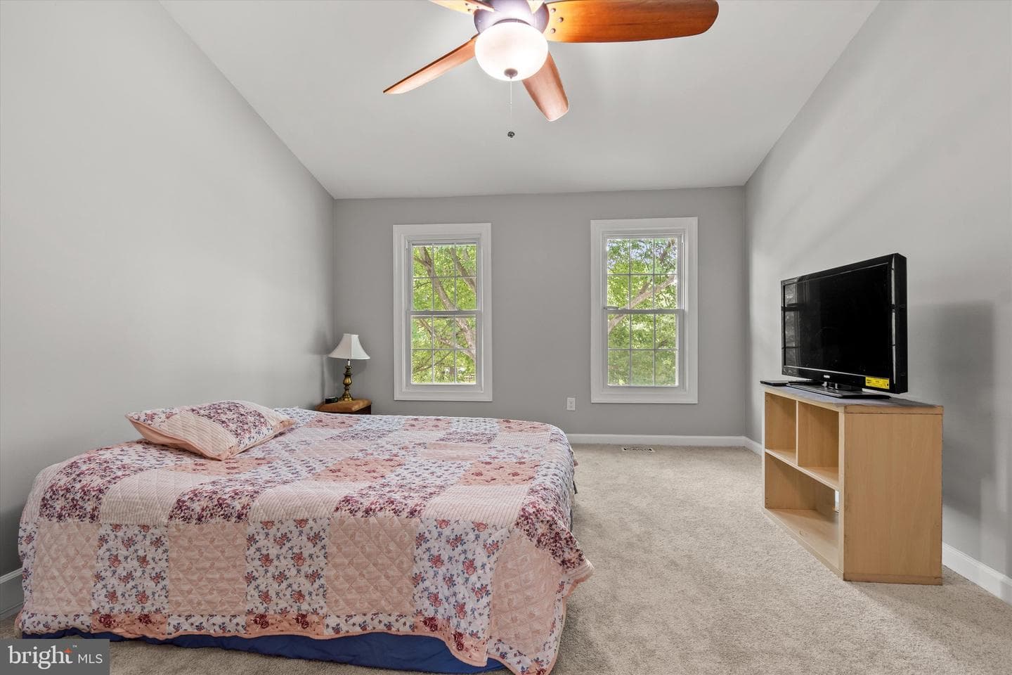 10165 Corydalis Court photo 19