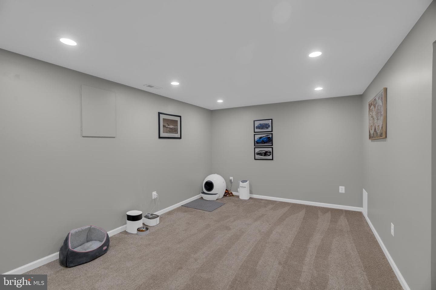 8683 Point Of Woods Drive photo 40