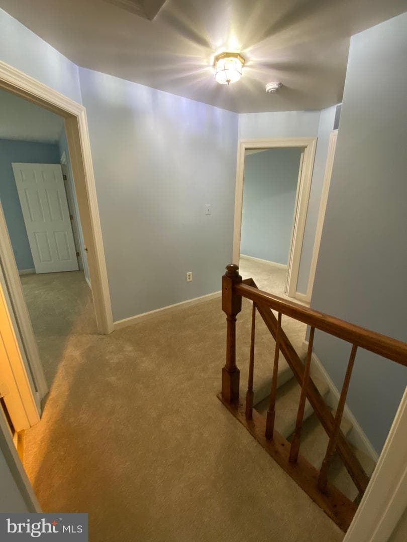 9621 Bainbridge Court photo 22