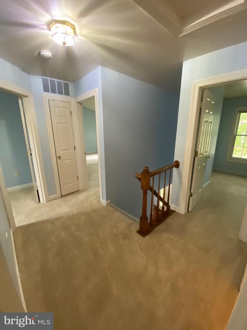 9621 Bainbridge Court photo 37