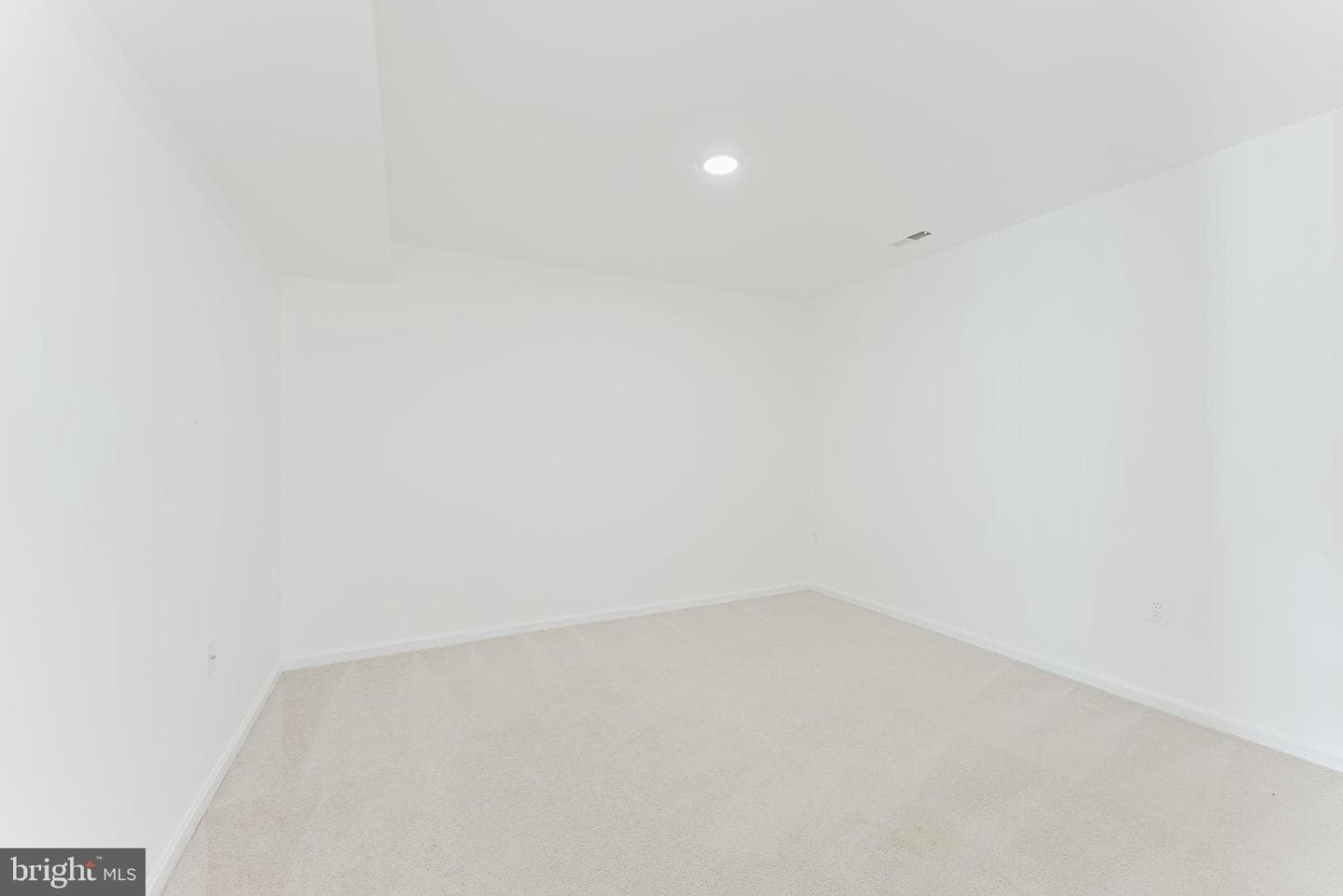 8696 Carlton Drive photo 38