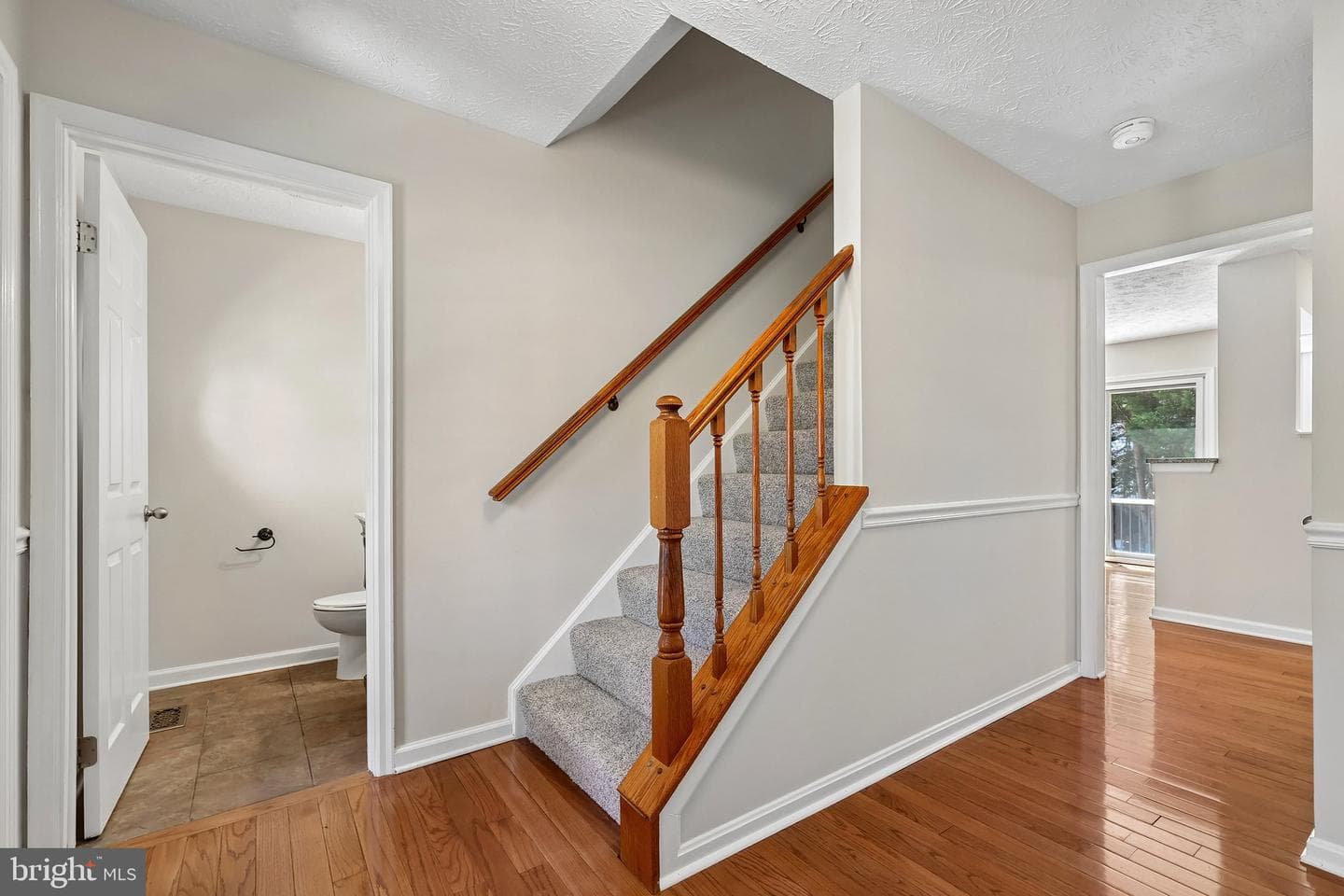 10409 Sorrell Drive photo 3