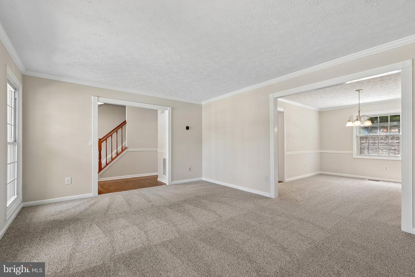 10409 Sorrell Drive photo 5