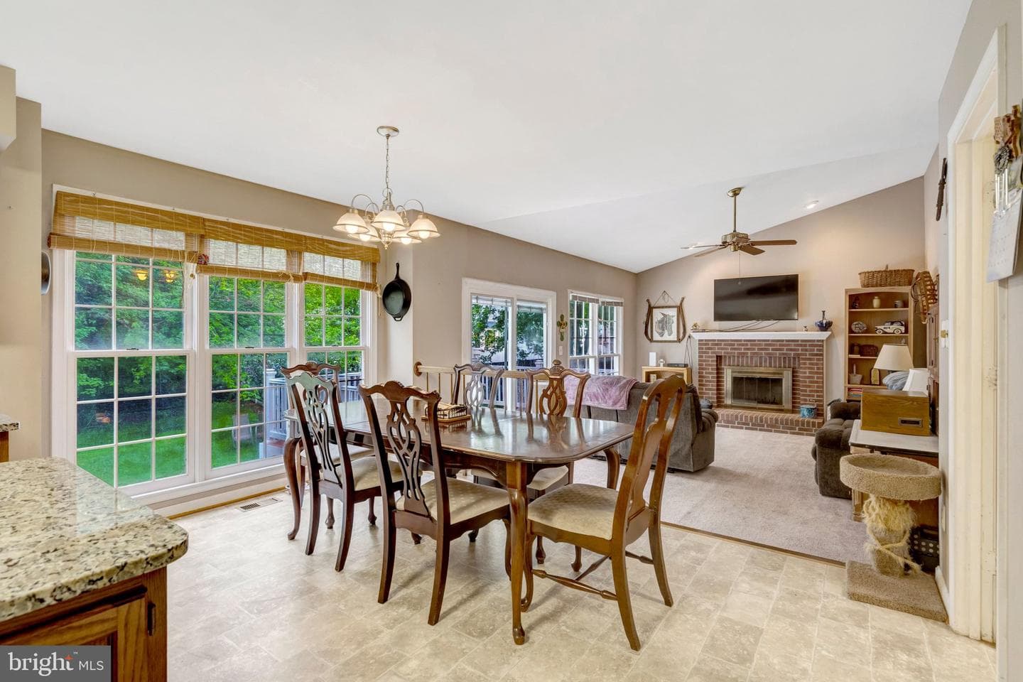 10262 Cedar Ridge Drive photo 19