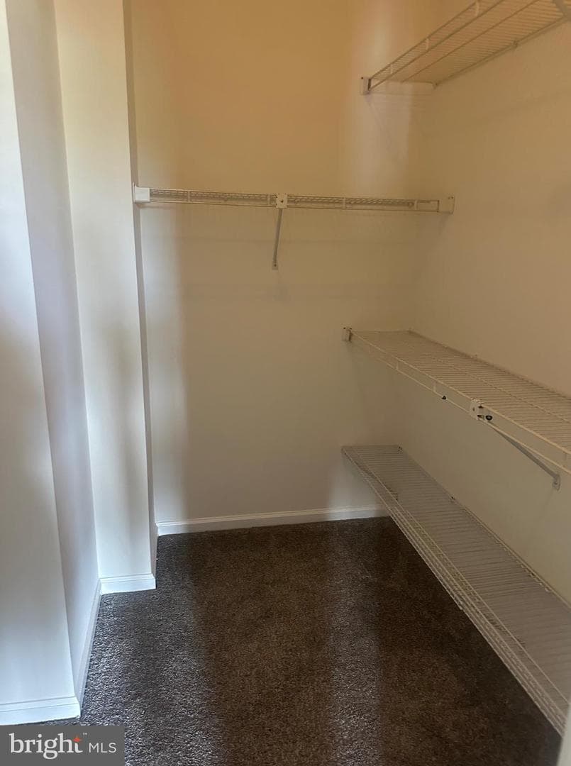 9308 Witch Hazel Way photo 13