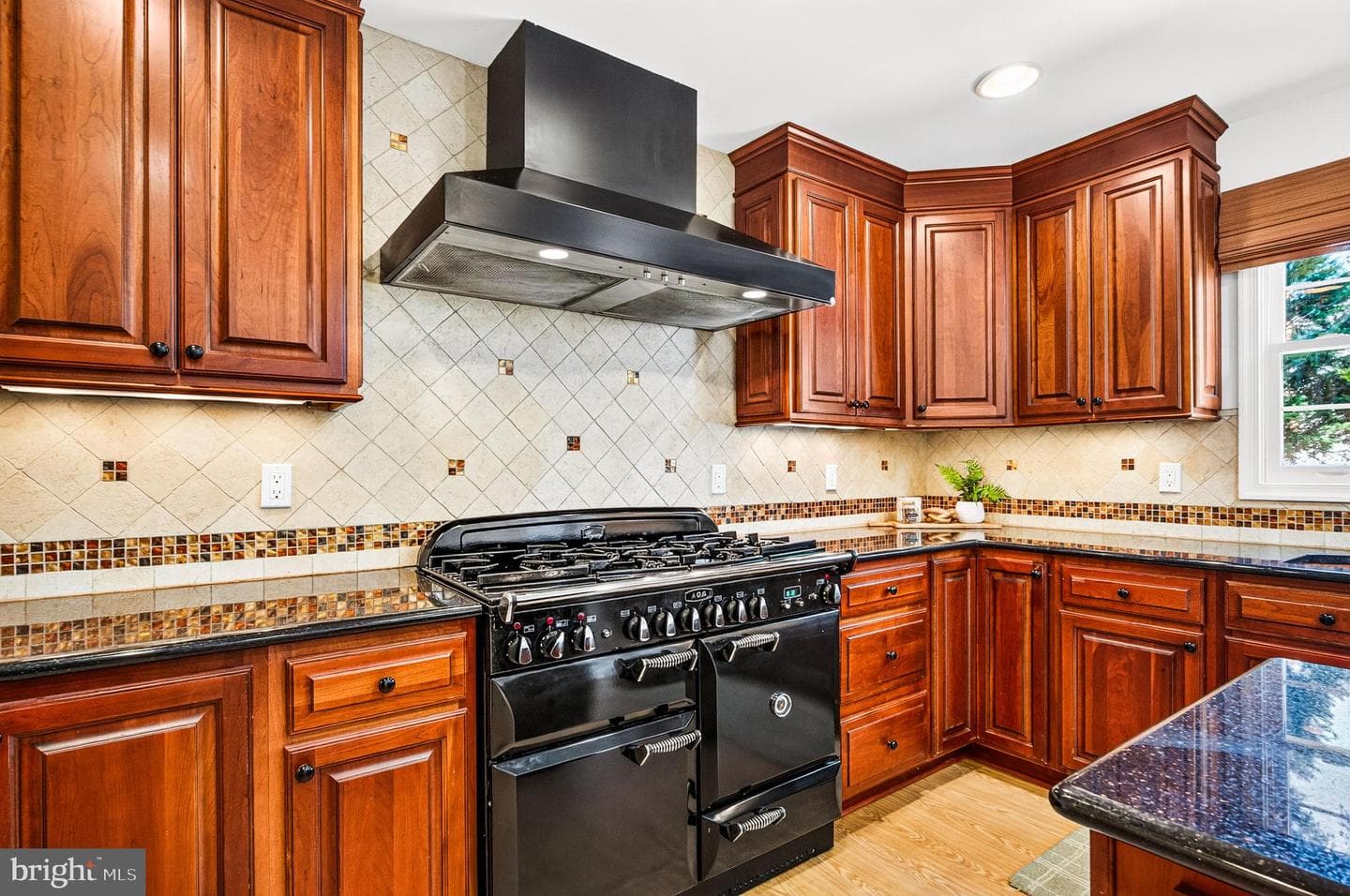 10202 Daylily Court photo 19