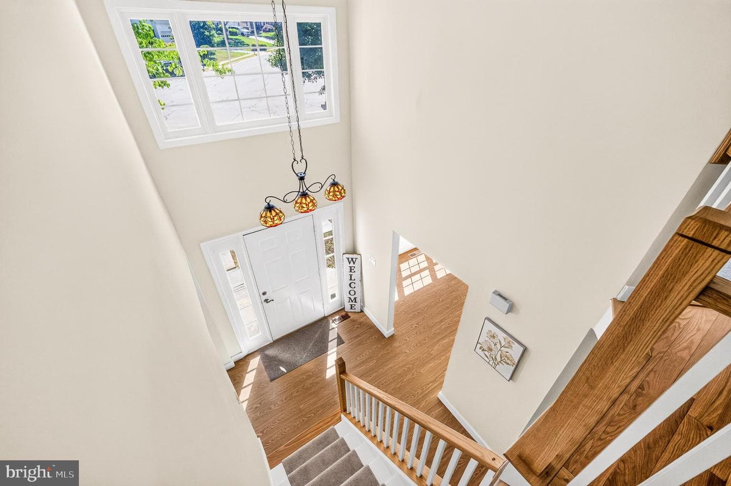 10202 Daylily Court photo 25