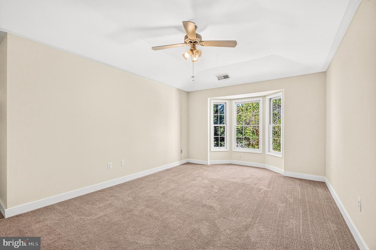 10202 Daylily Court photo 35