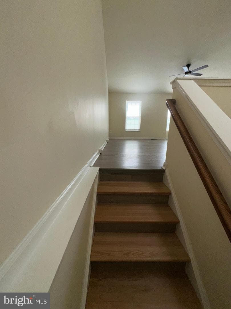 9341 Gooseberry Drive photo 42