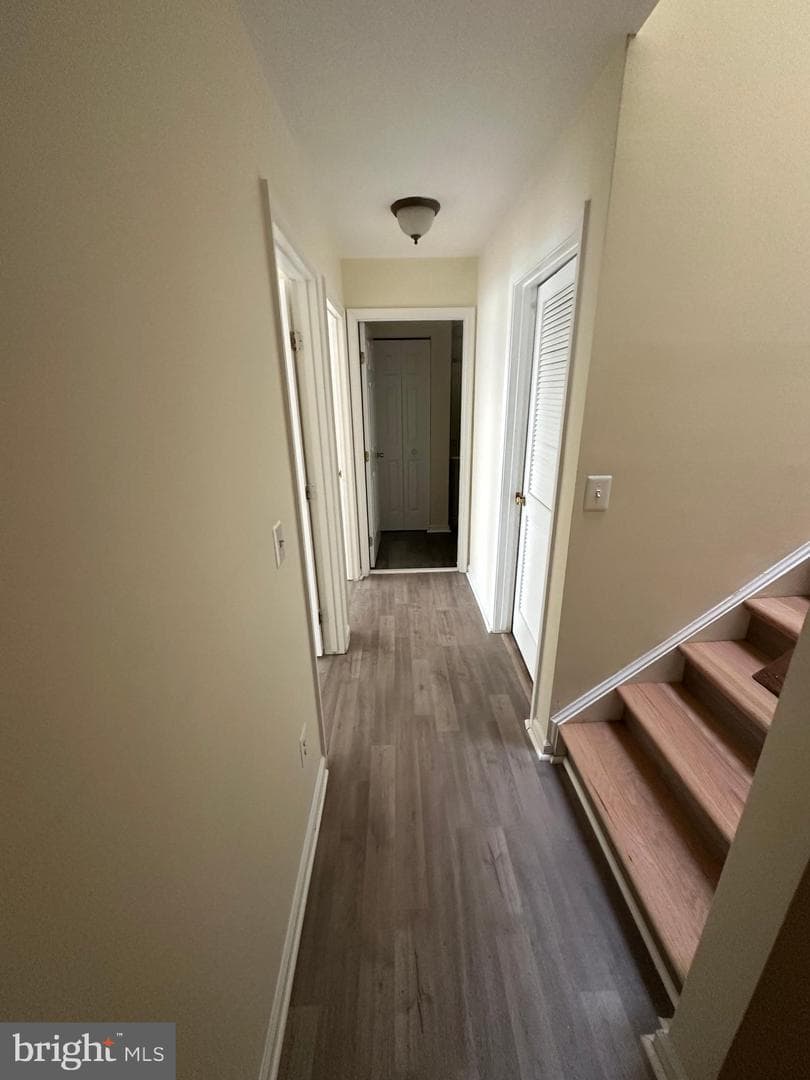 9341 Gooseberry Drive photo 47