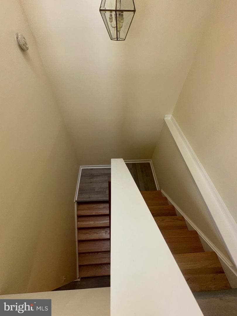 9341 Gooseberry Drive photo 48