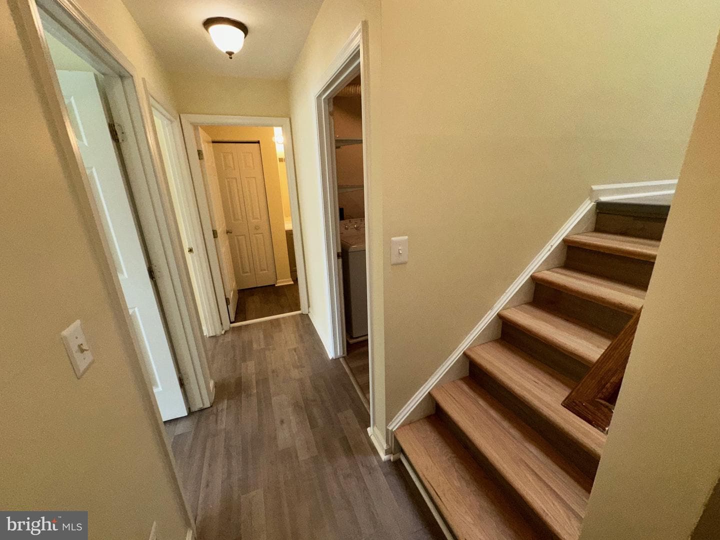 9341 Gooseberry Drive photo 49