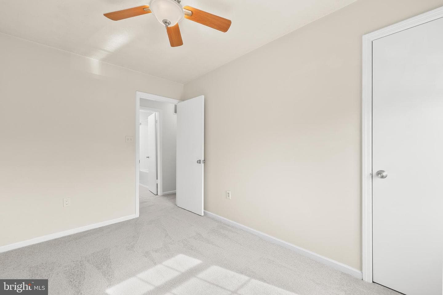 8646 Cartwright Court photo 15
