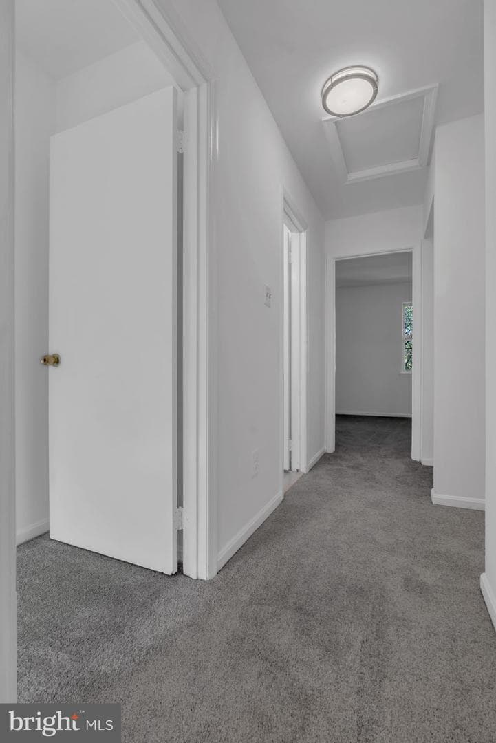 8625 Burnside Court photo 24