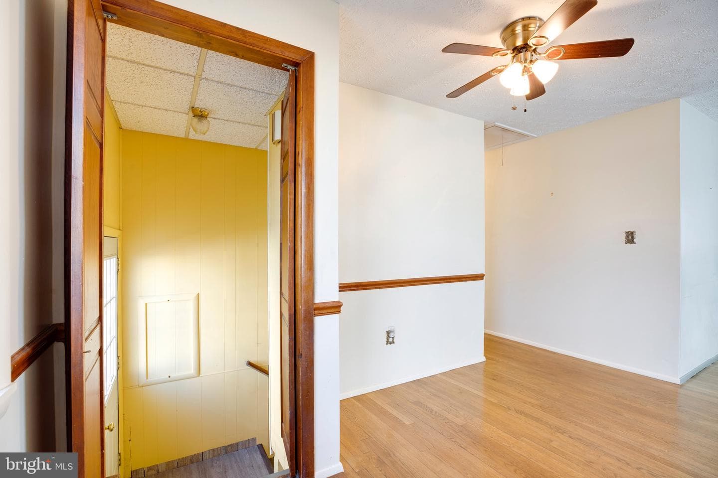 346 Manassas Drive photo 20