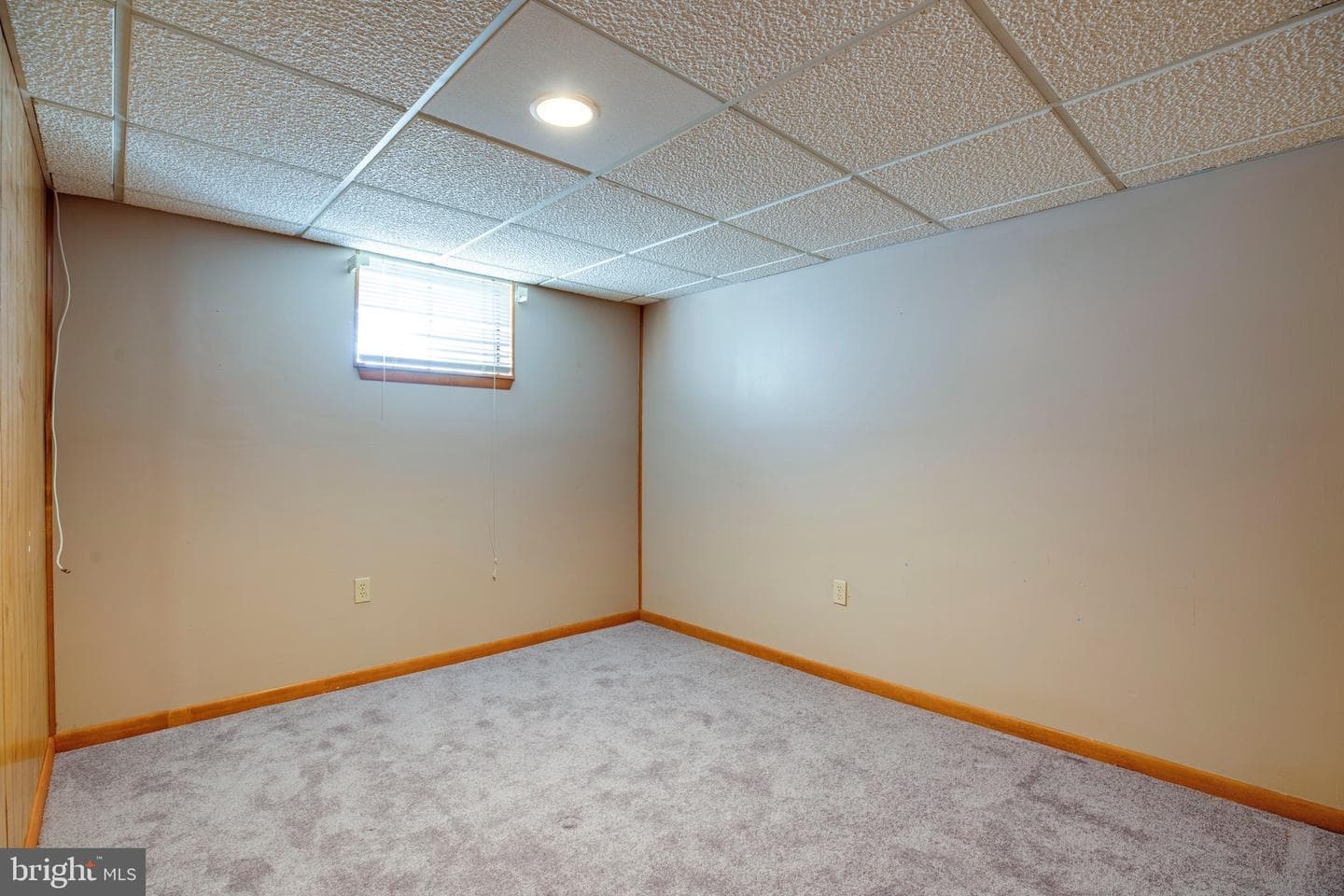 346 Manassas Drive photo 36