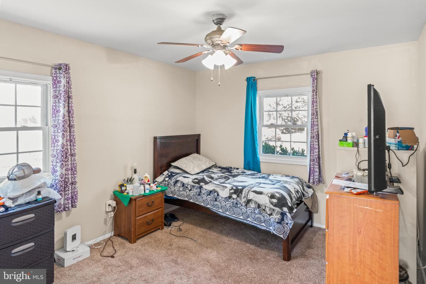121 Cabbel Drive photo 12