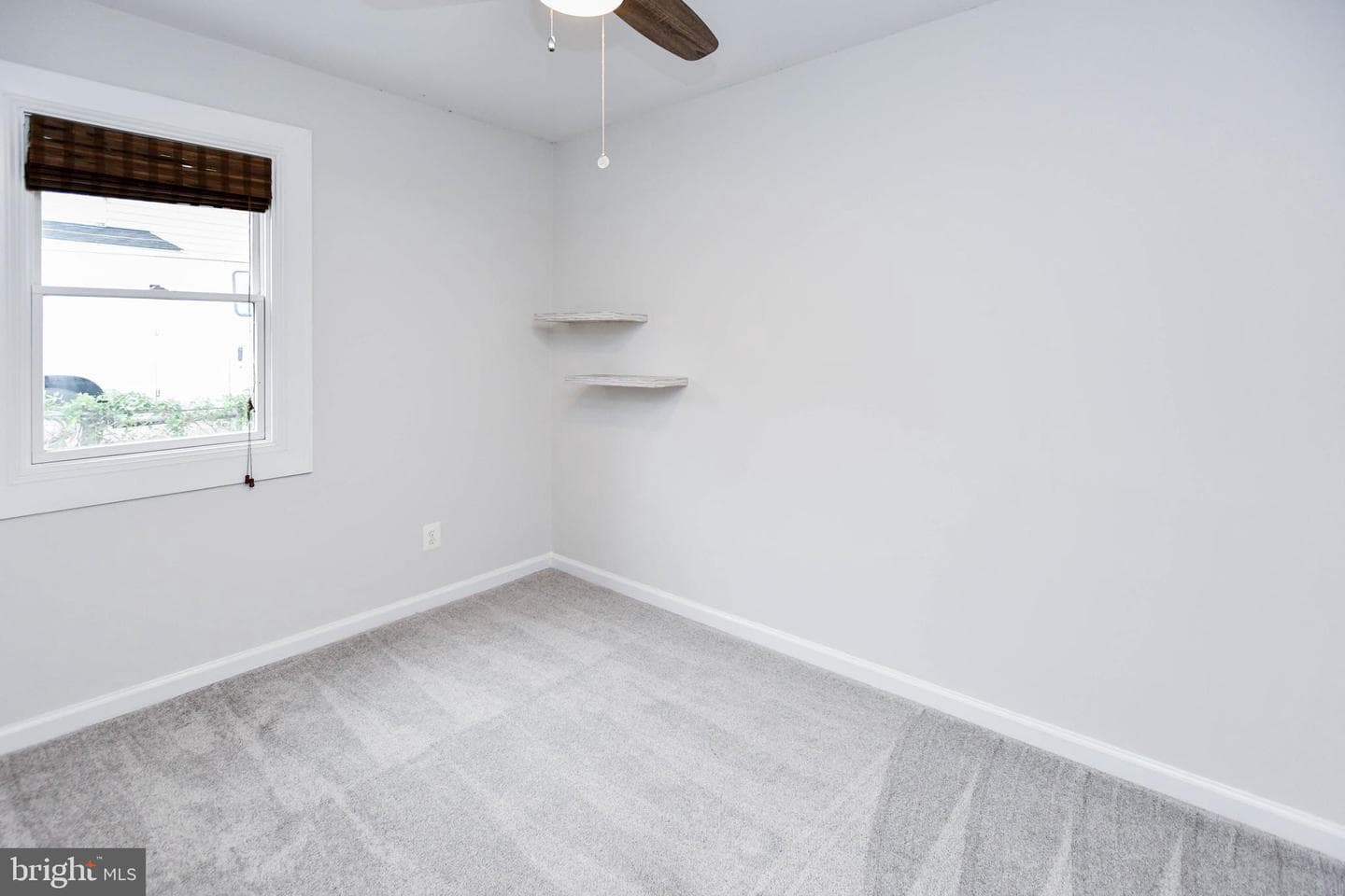 248 Manassas Drive photo 23