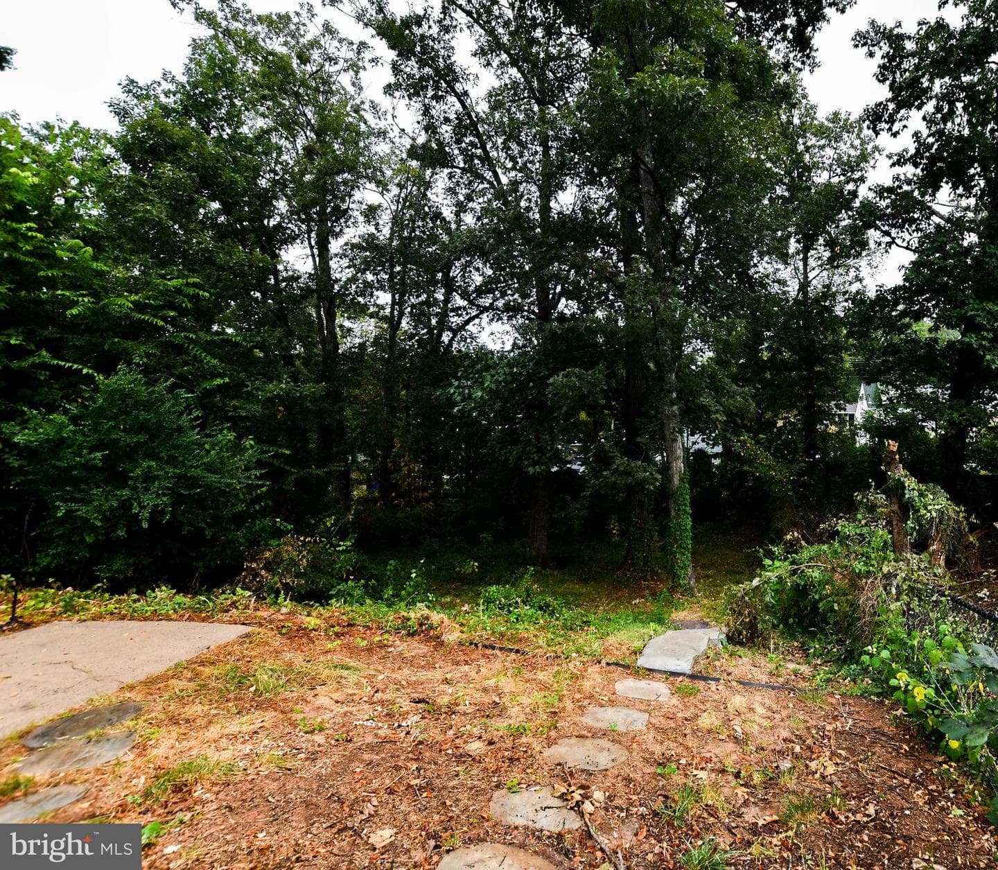 248 Manassas Drive photo 35