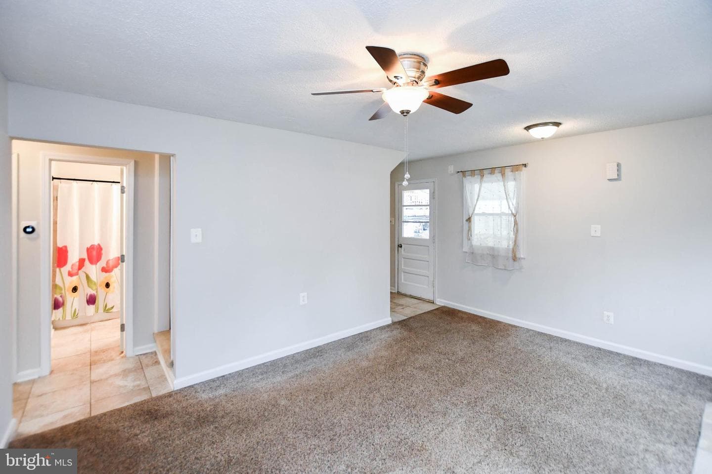 248 Manassas Drive photo 8