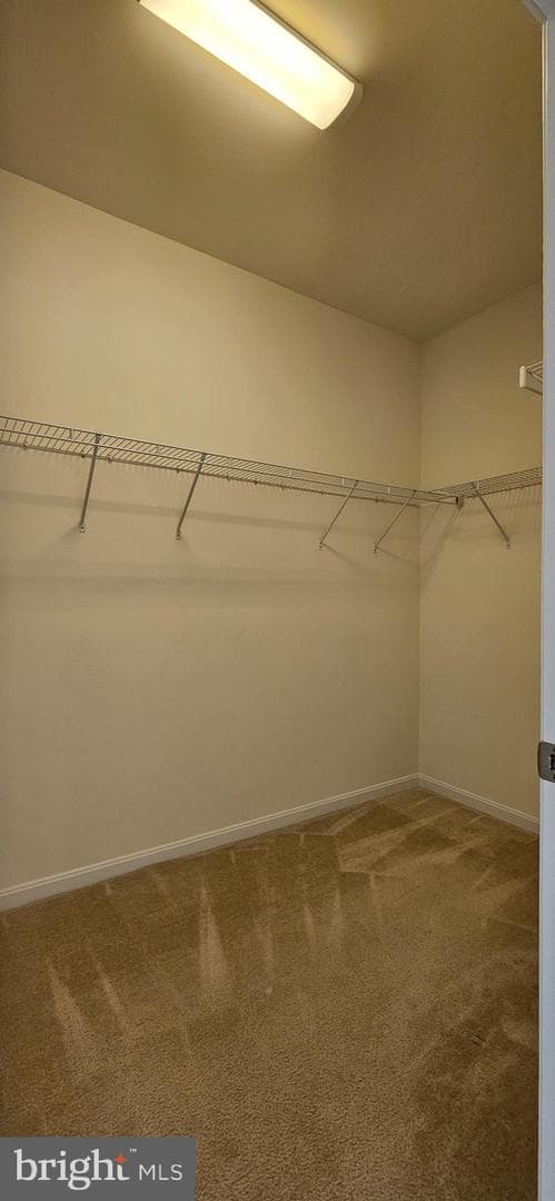 9010 Belo Gate Drive photo 21
