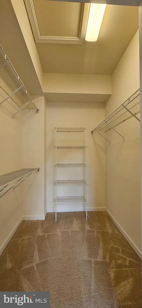 9010 Belo Gate Drive photo 22