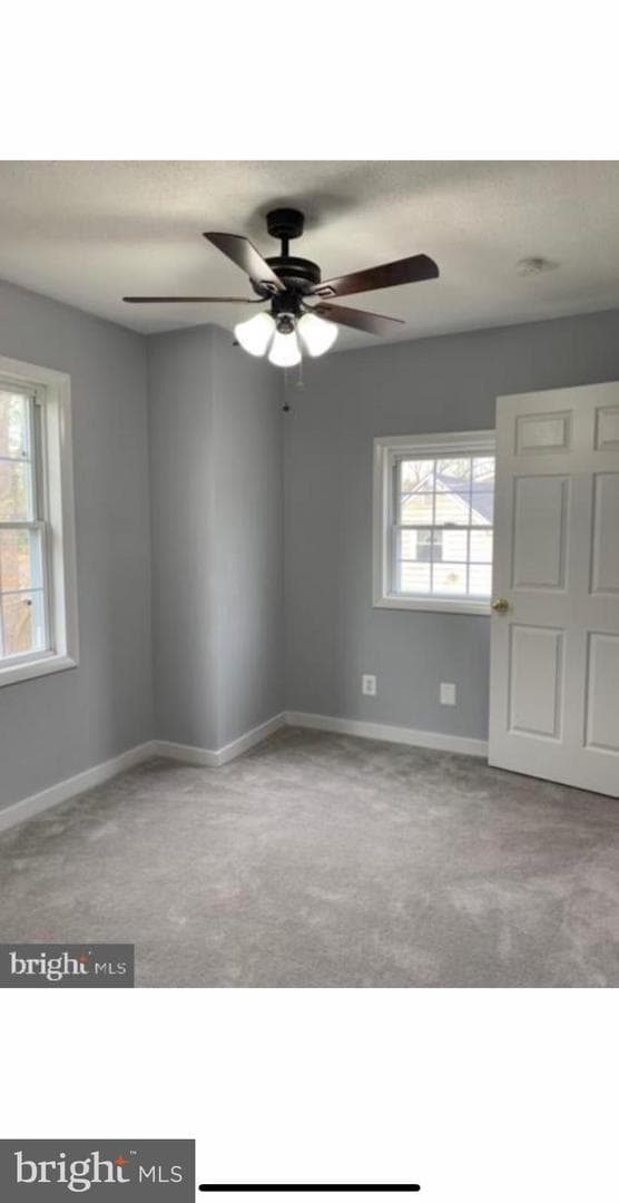 216 Colfax Court photo 20