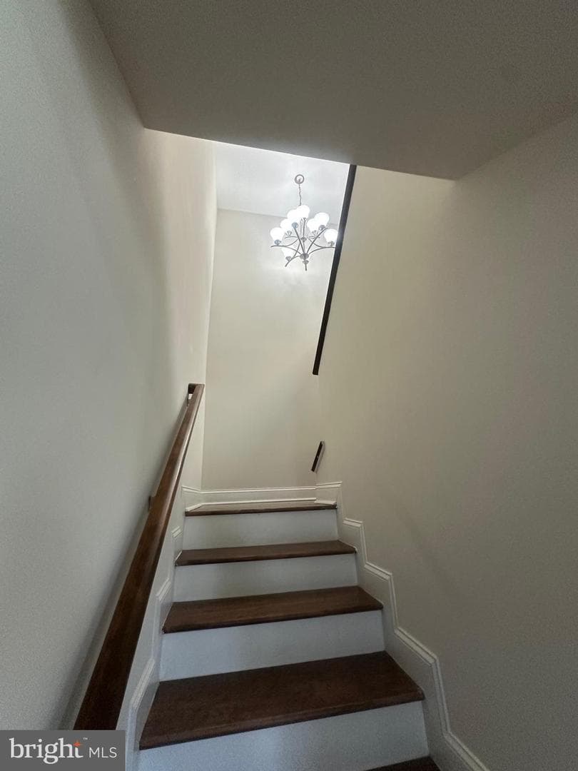 216 Colfax Court photo 42