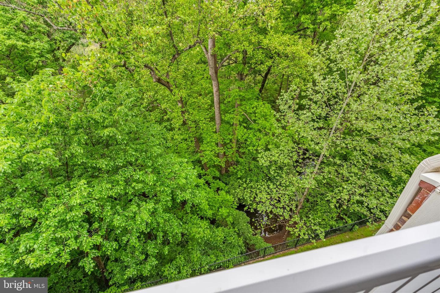9724 Holmes Place #unit 302 photo 41