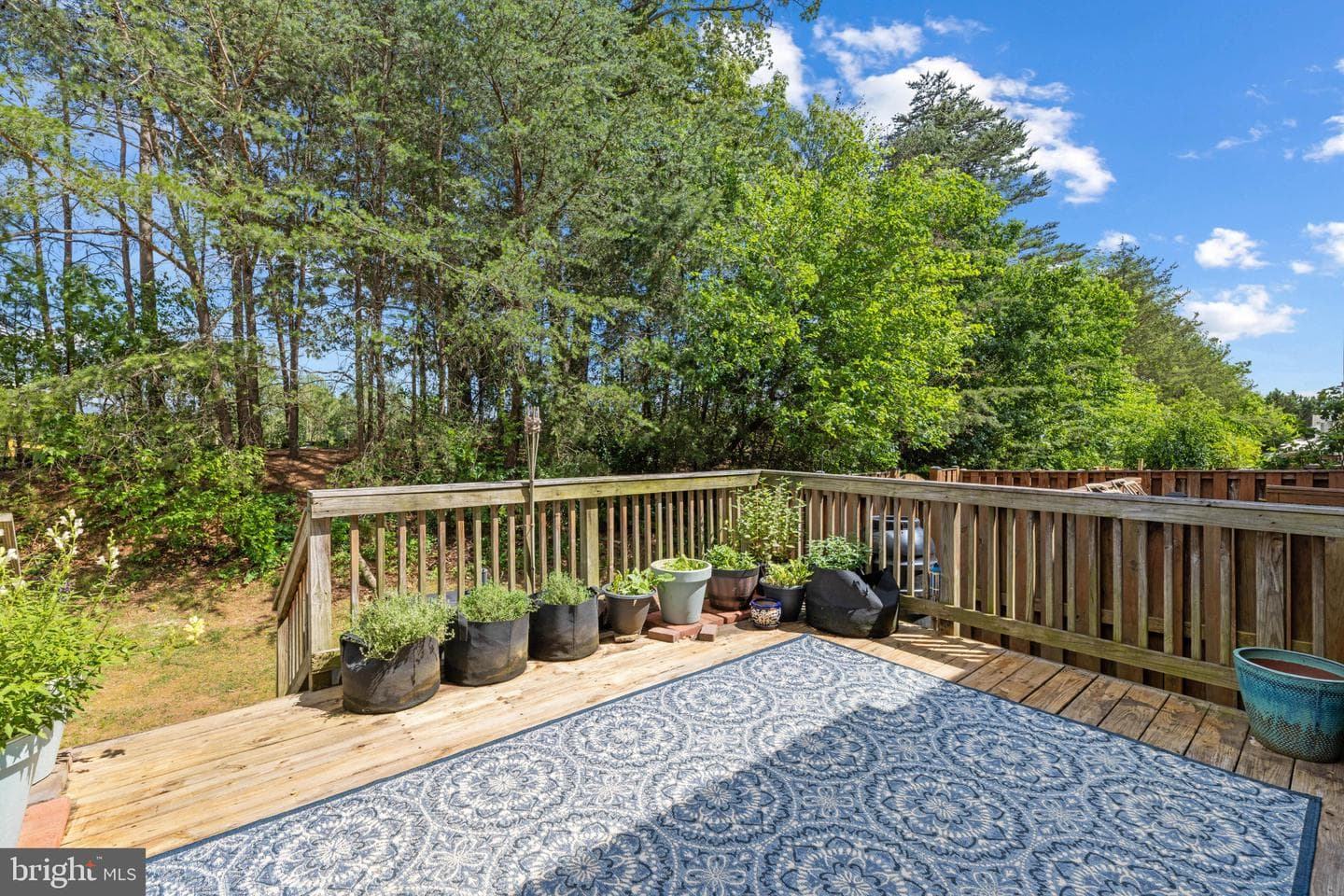 9253 Jessica Drive photo 26