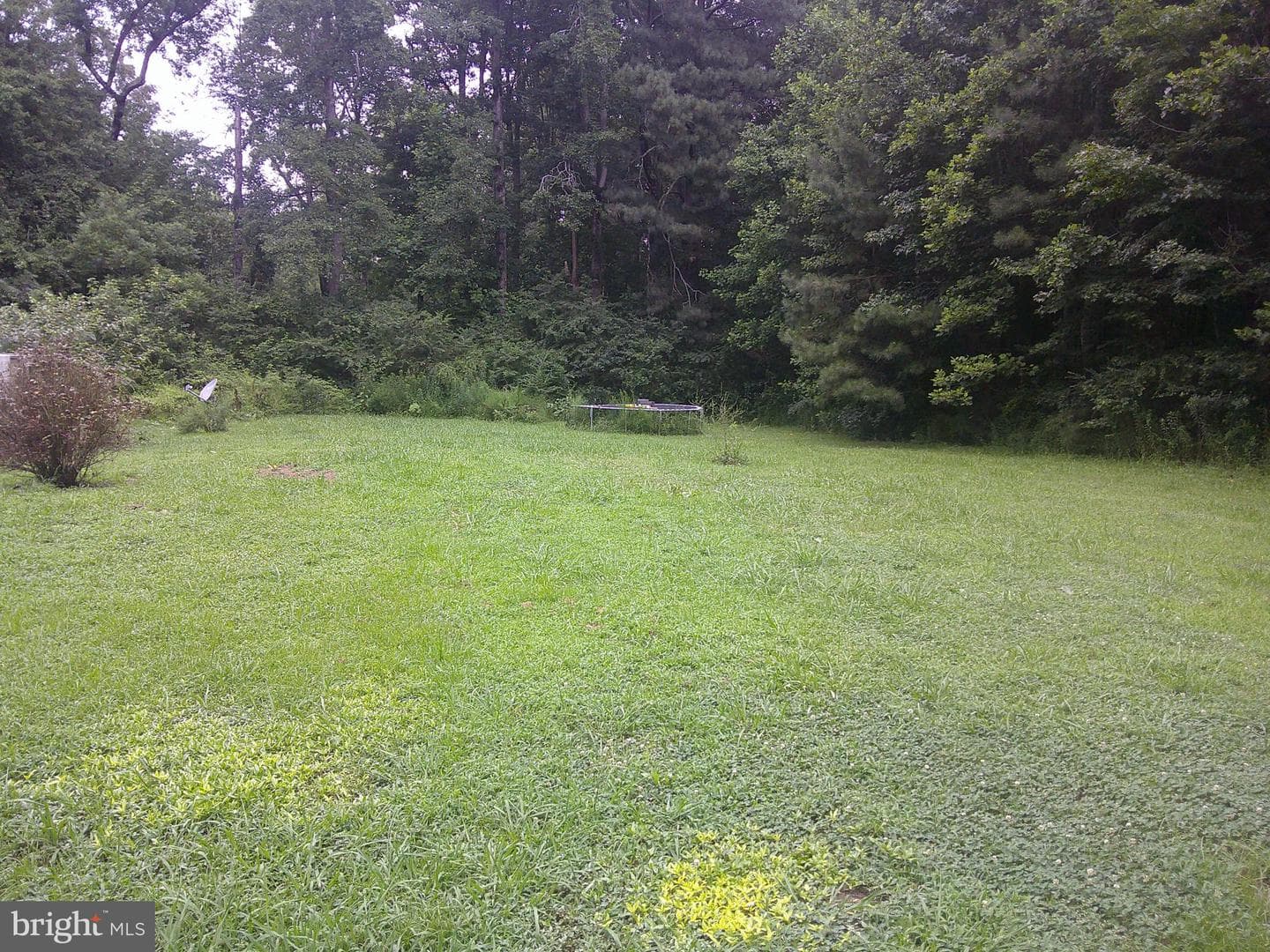 162 Scott Drive photo 2