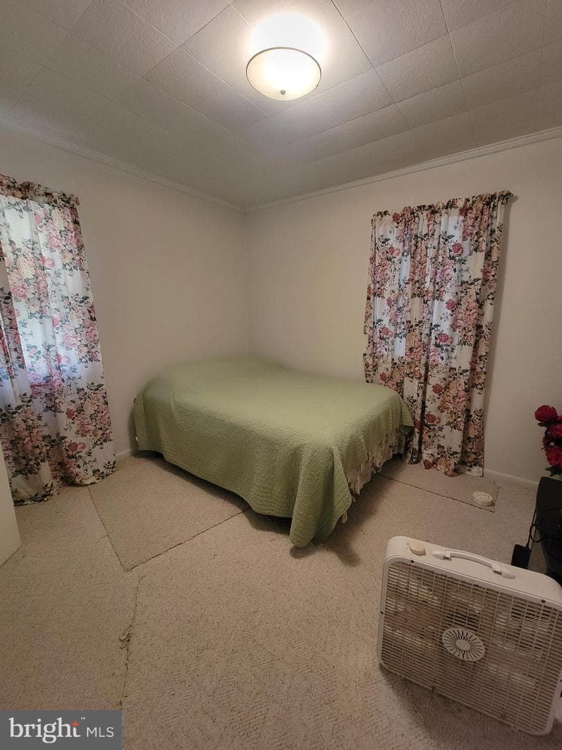 89 Poplar Drive photo 8