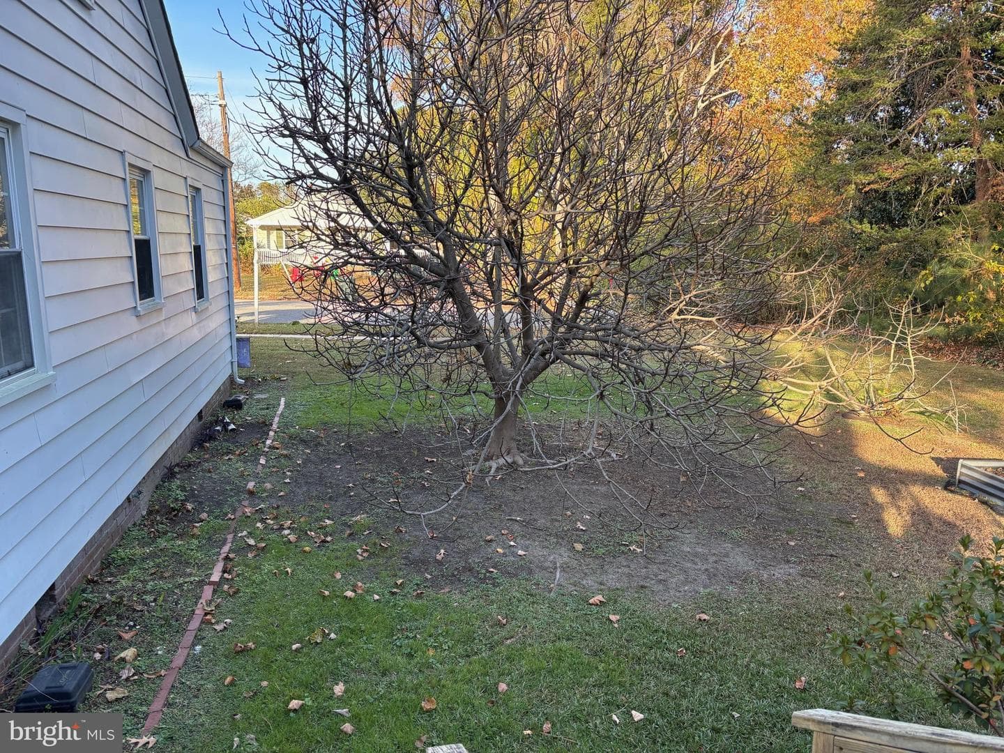 3737 Buckingham Street photo 31
