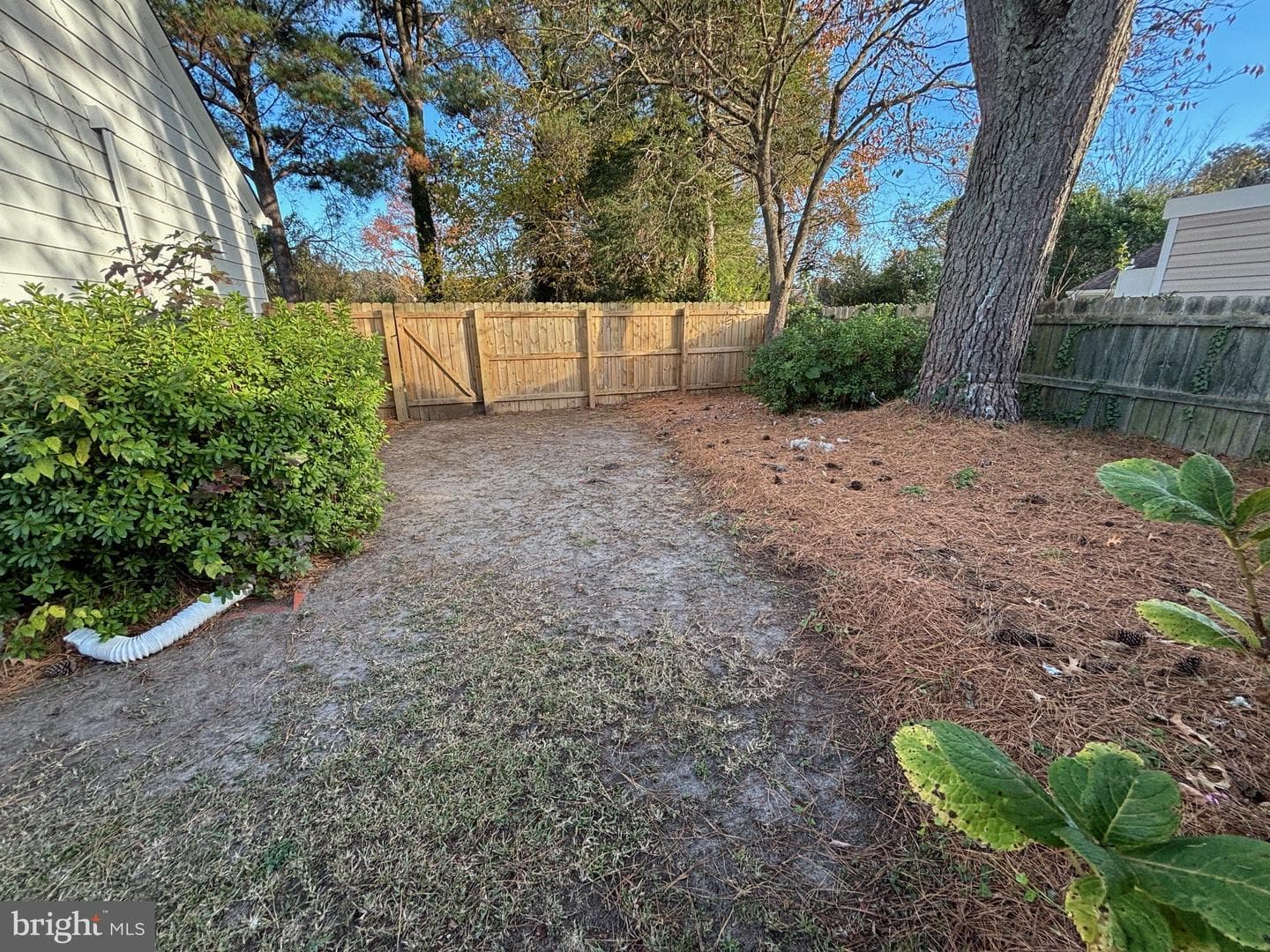 3737 Buckingham Street photo 38