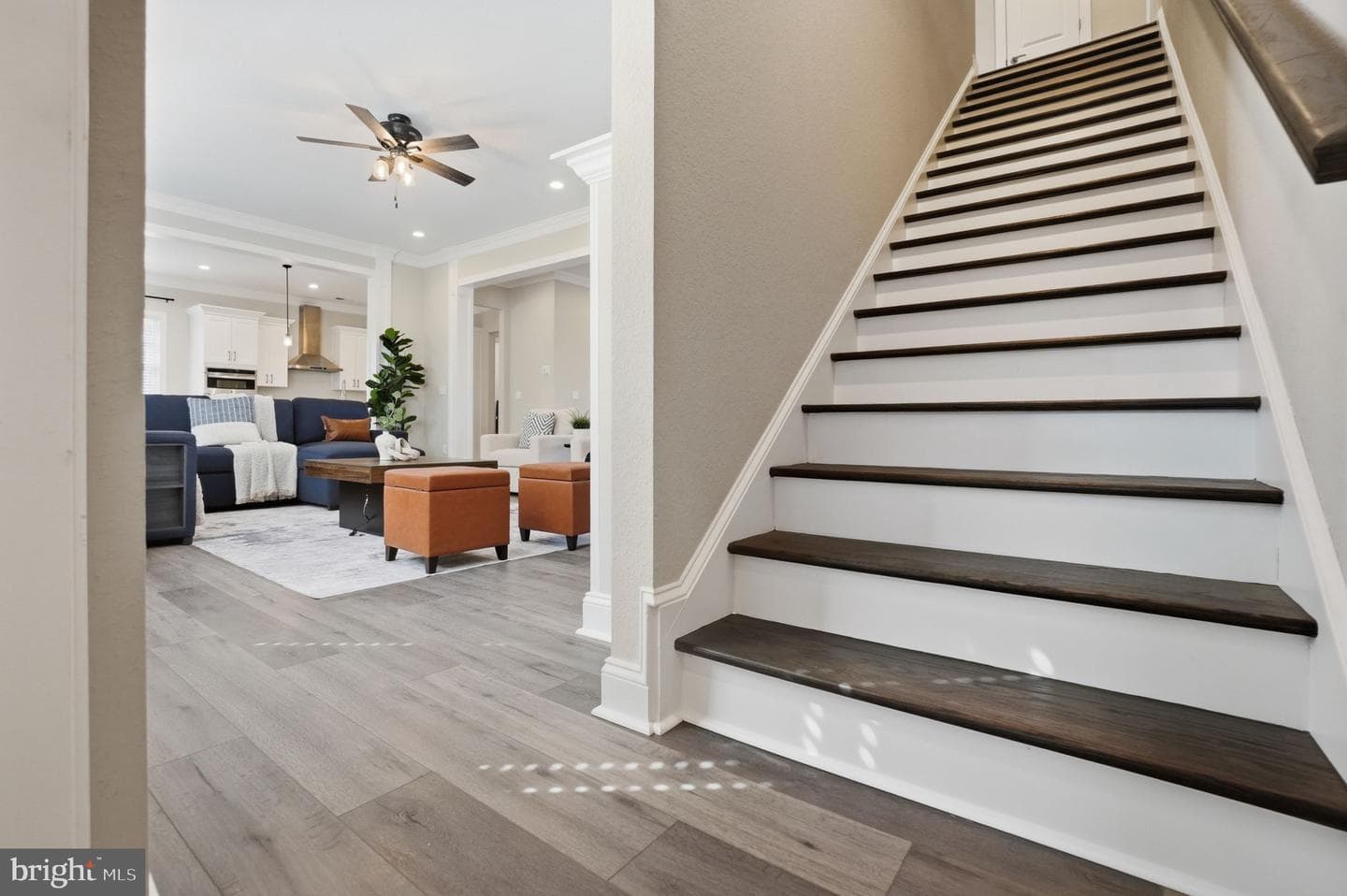 8 Seay Court photo 34