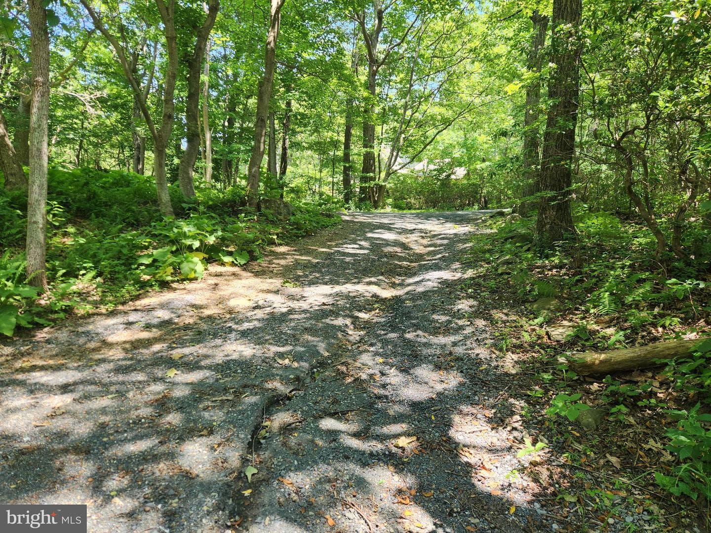 21 Split Rock Trail photo 9