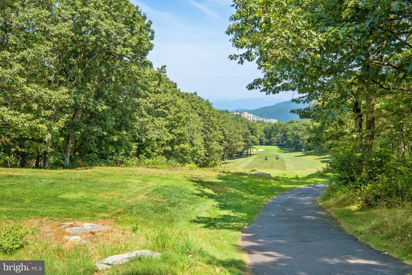 967 Devils Knob Loop photo 47