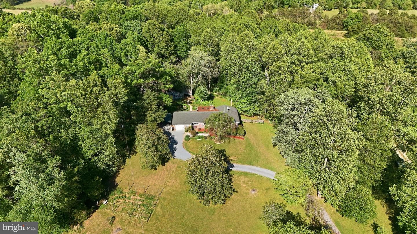 199 Blue Rock Lane photo 17