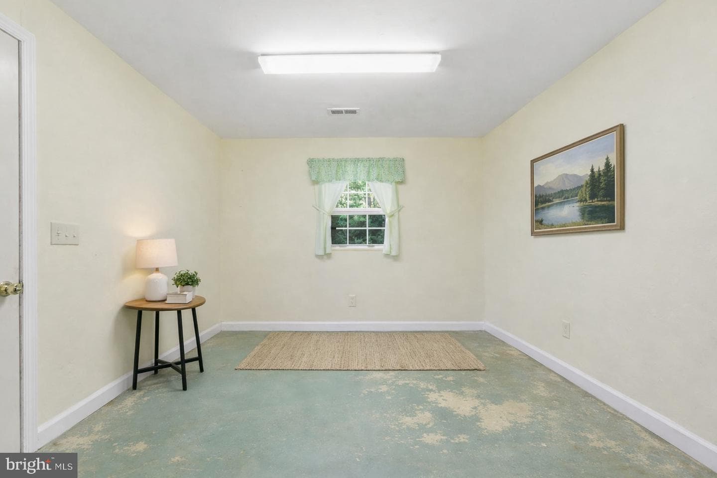 199 Blue Rock Lane photo 48