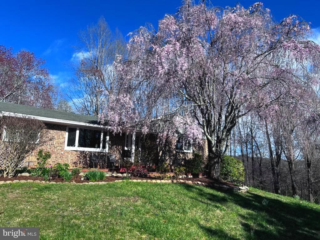 199 Blue Rock Lane photo 63